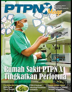 PTPN 10