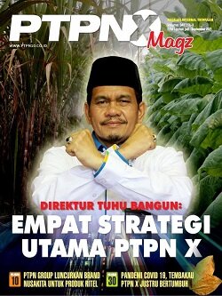 PTPN 10