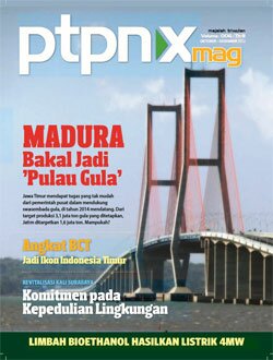 PTPN 10