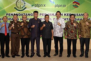 PTPN 10