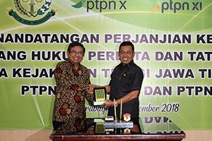 PTPN 10