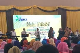 <div class="node-info"> Terbit pada Rabu, 13 Juli 2016</div>