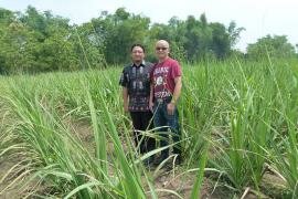 <div class="node-info"> Terbit pada Senin, 7 Desember 2015</div>