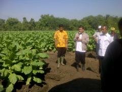 <div class="node-info"> Terbit pada Rabu, 5 Oktober 2016</div>