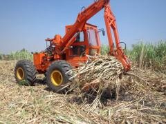 <div class="node-info"> Terbit pada Minggu, 31 Agustus 2014</div>