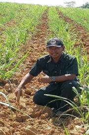 <div class="node-info"> Terbit pada Rabu, 2 Desember 2015</div>